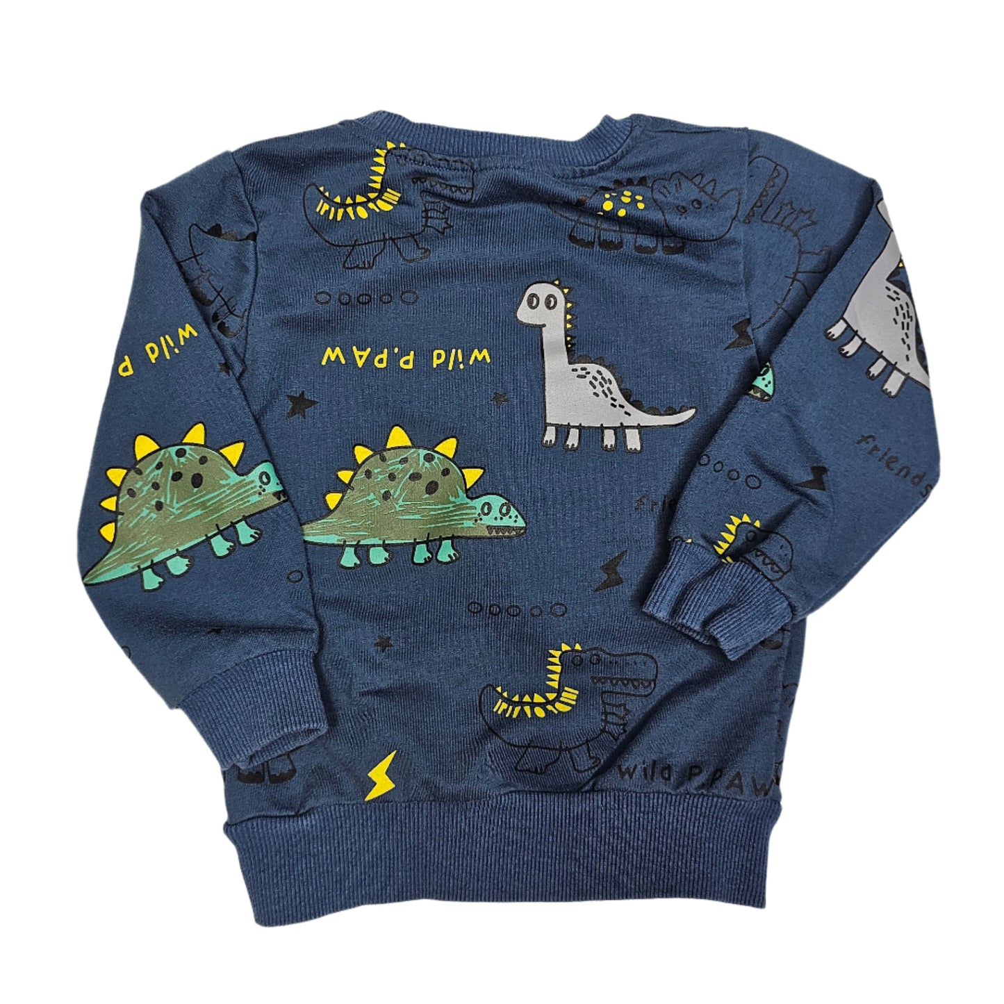 2T Blue Dinosaur Pullover Top