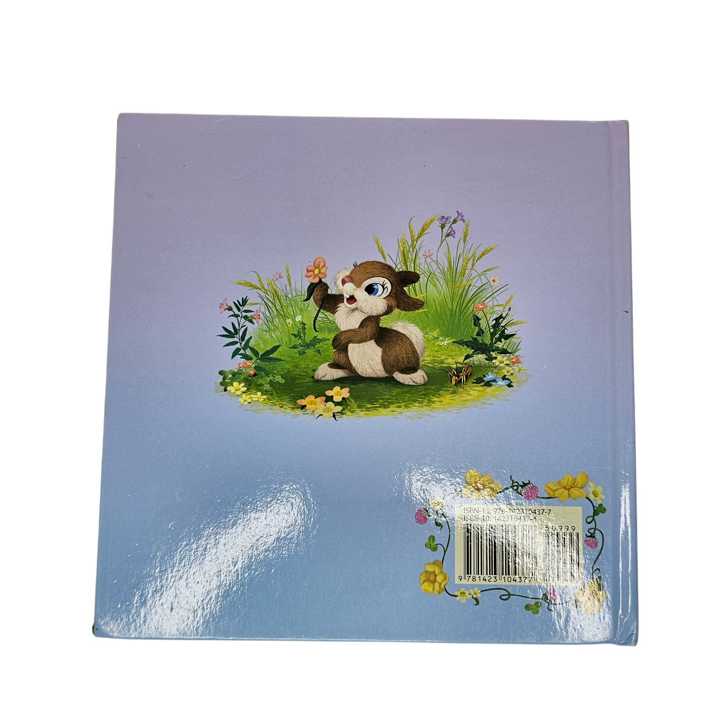 Thumper Finds a Friend