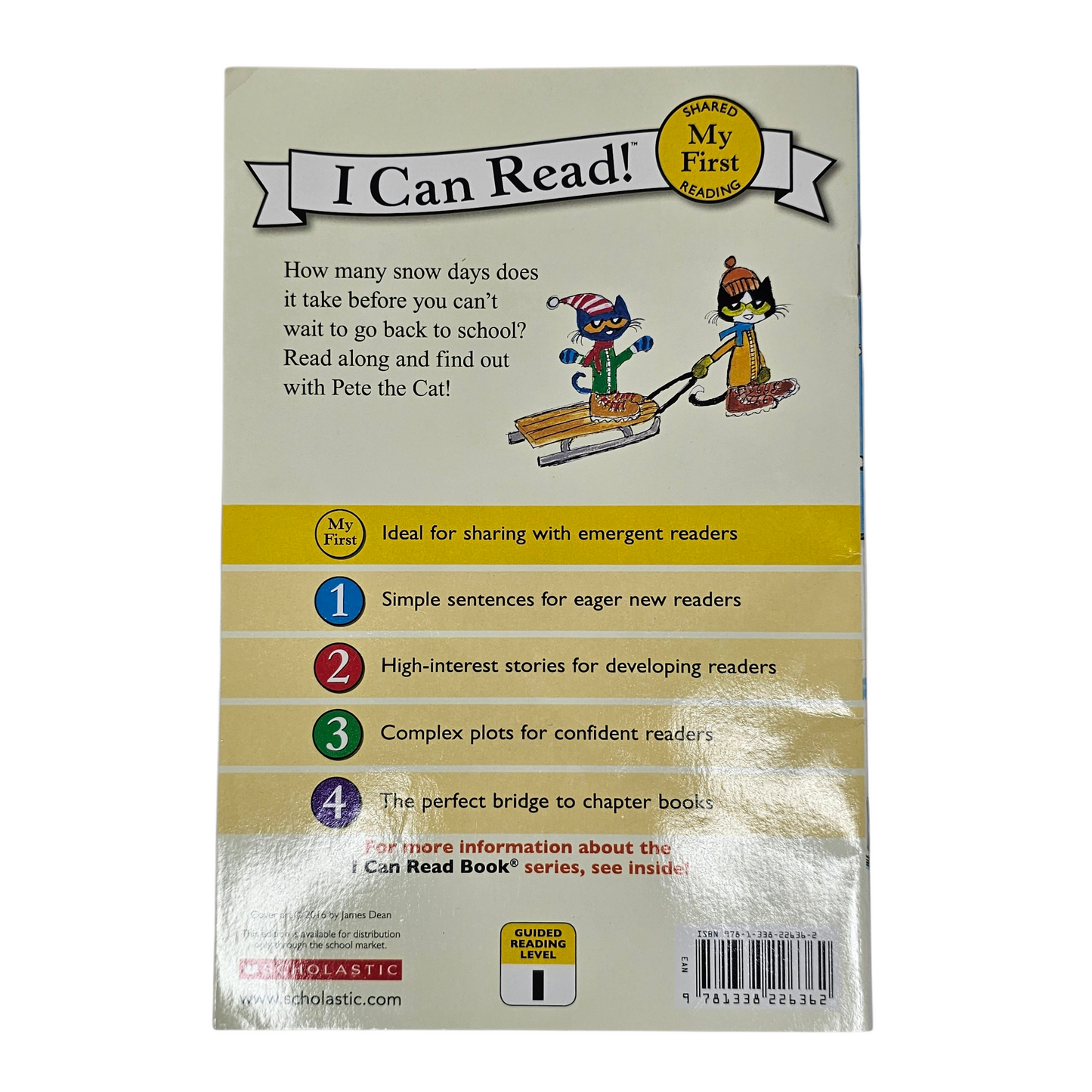 Pete the Cat Snow Daze