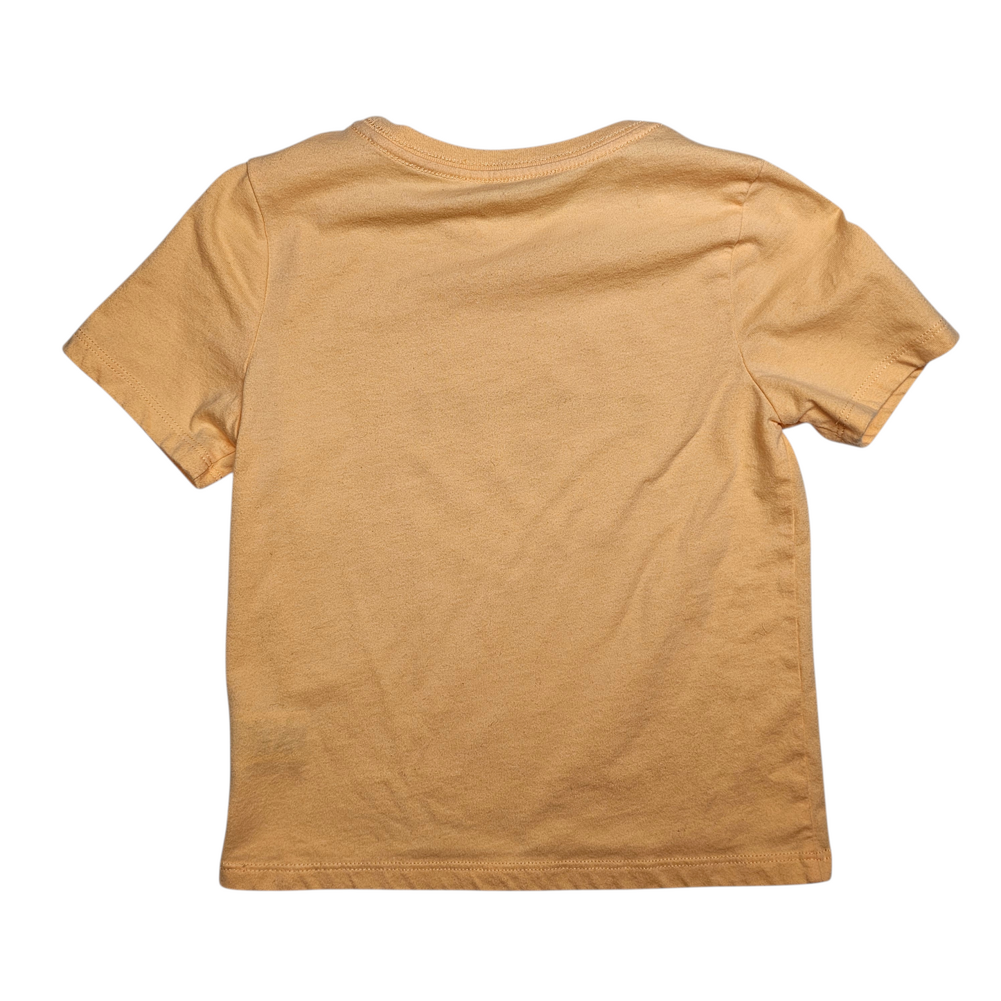 Wonder Nation 5T Easter Tee