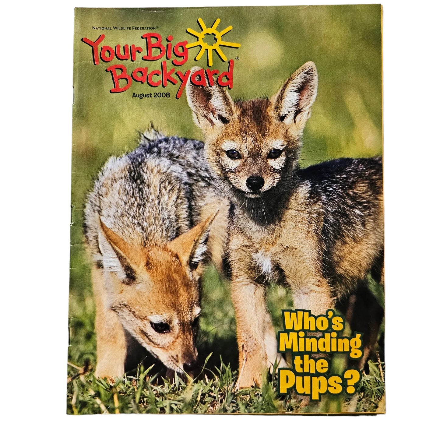 Kids Discover Your Big Backyard