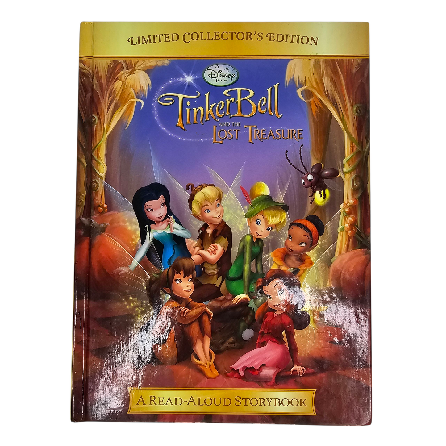 Disney TinkerBell and the Lost Treasure