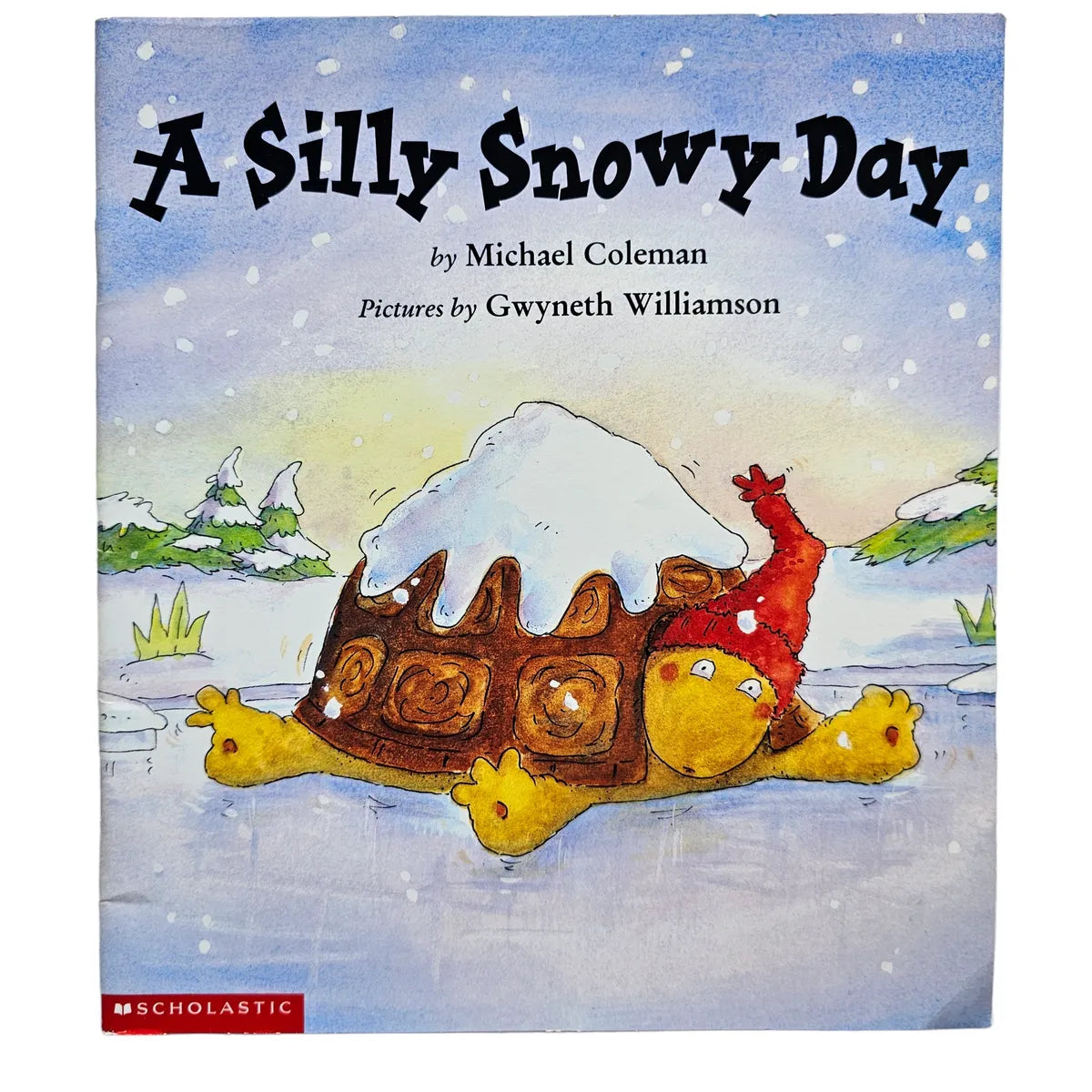 A Silly Snowy Day