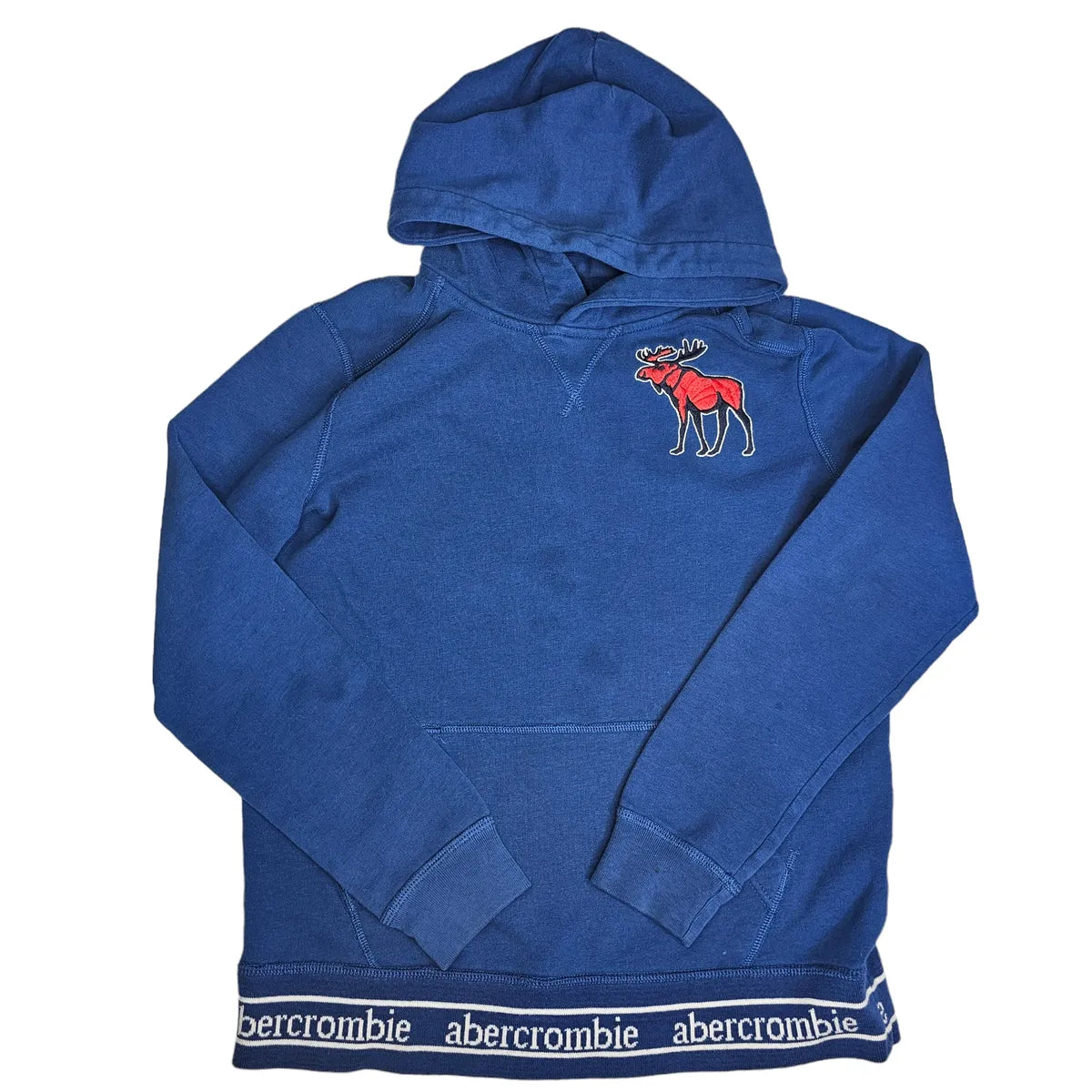 Abercrombie Kids 13/14 Moose Hoodie