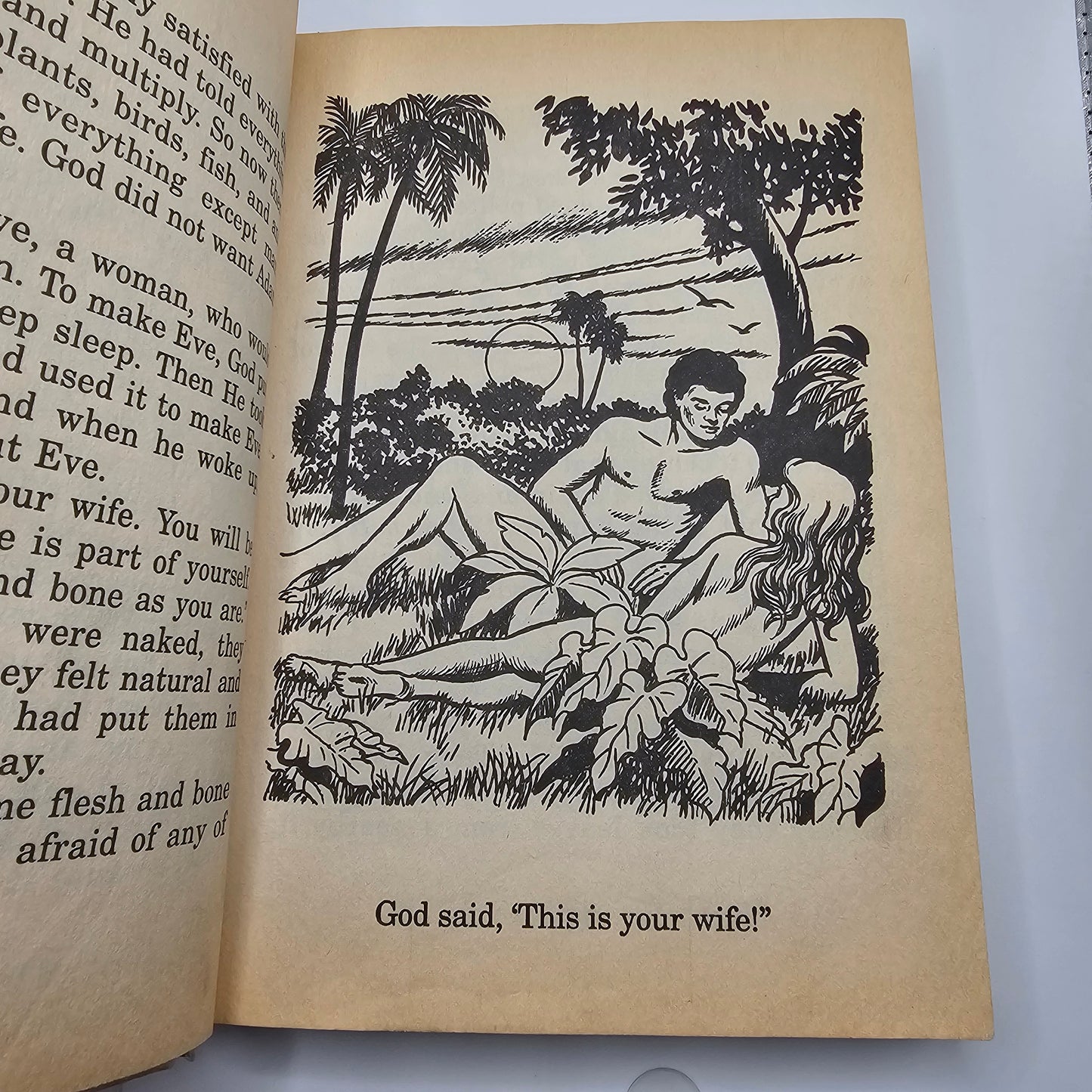 Great Illustrated Classics Stories From the Bible