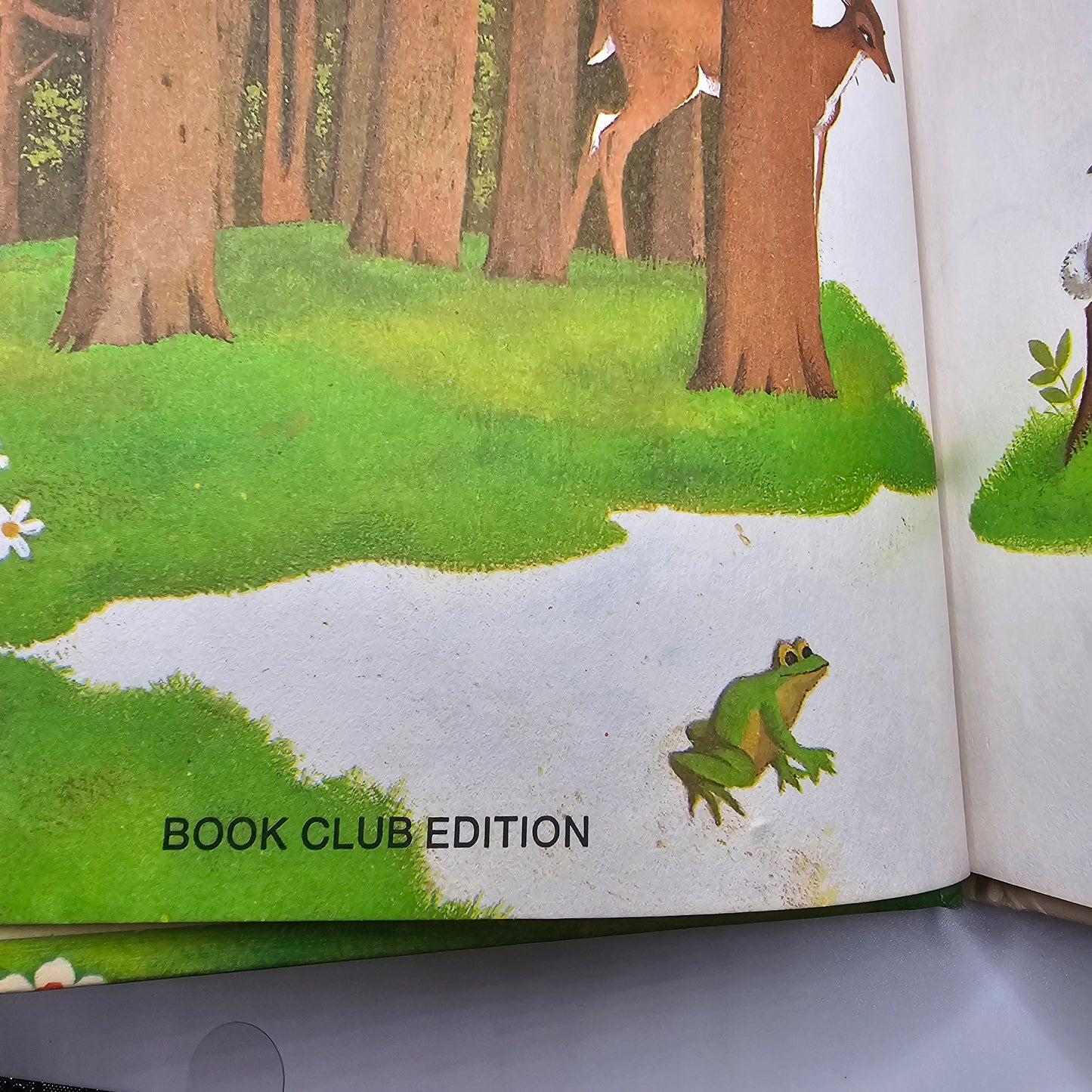 Disney Bambi Gets Lost