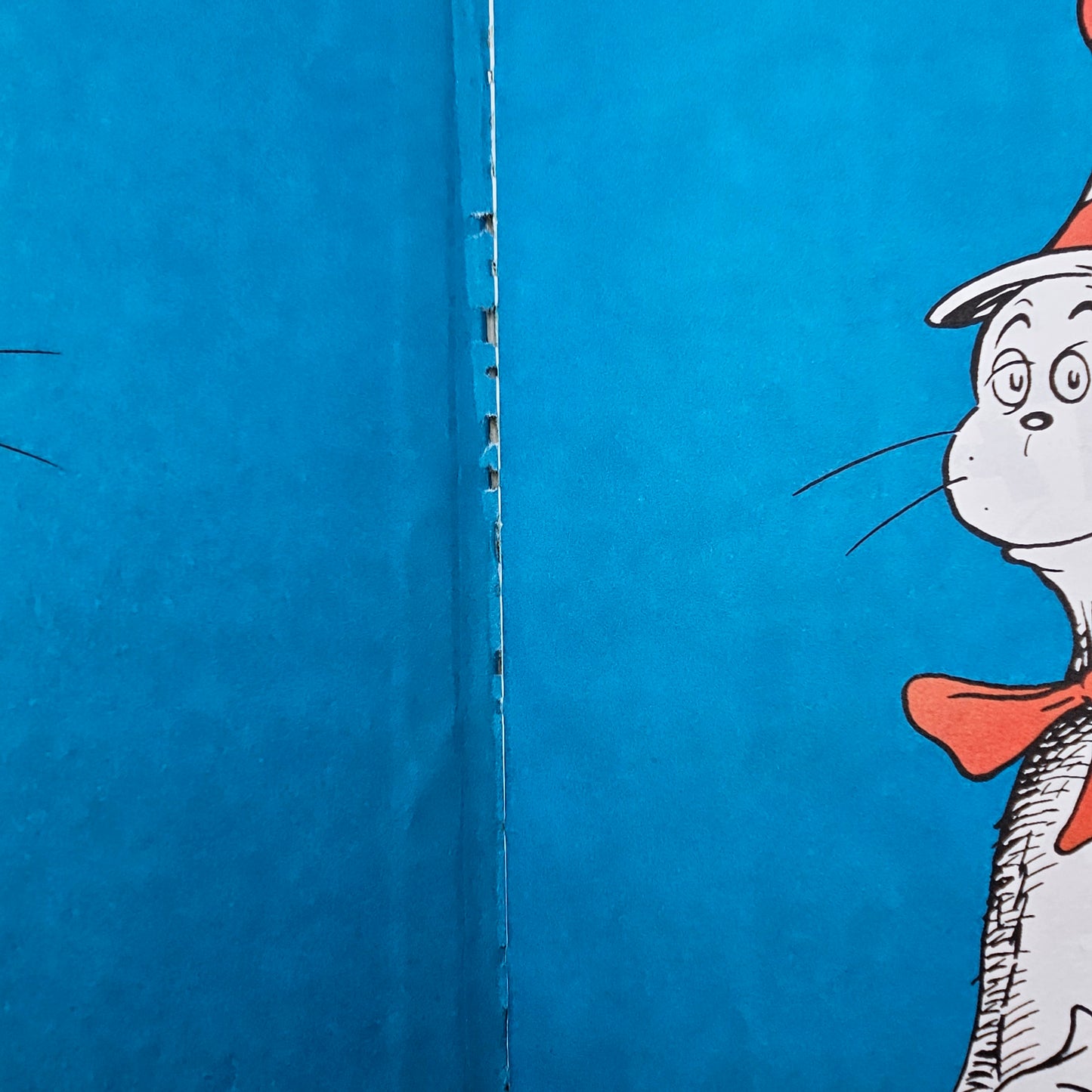 The Cat in the Hat Dr. Seuss