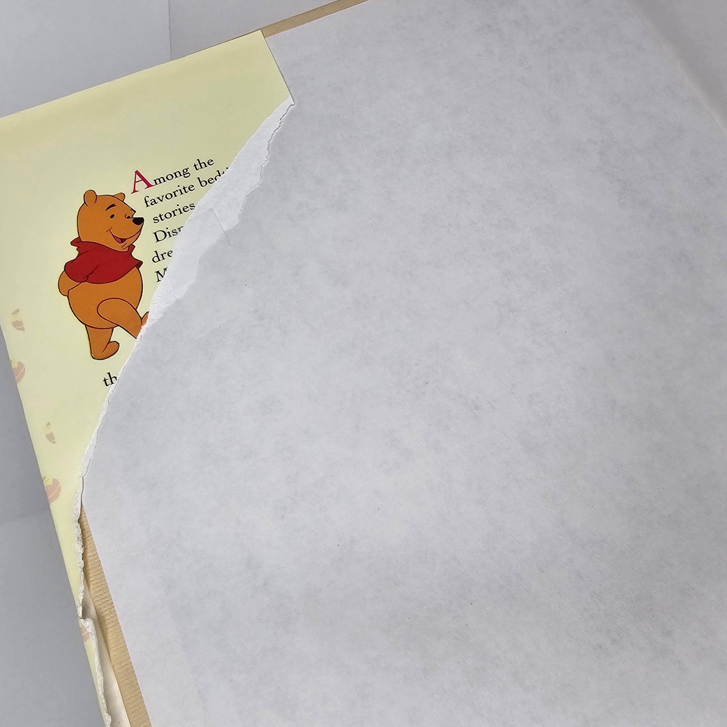 The Many Adventures of Winnie the Pooh