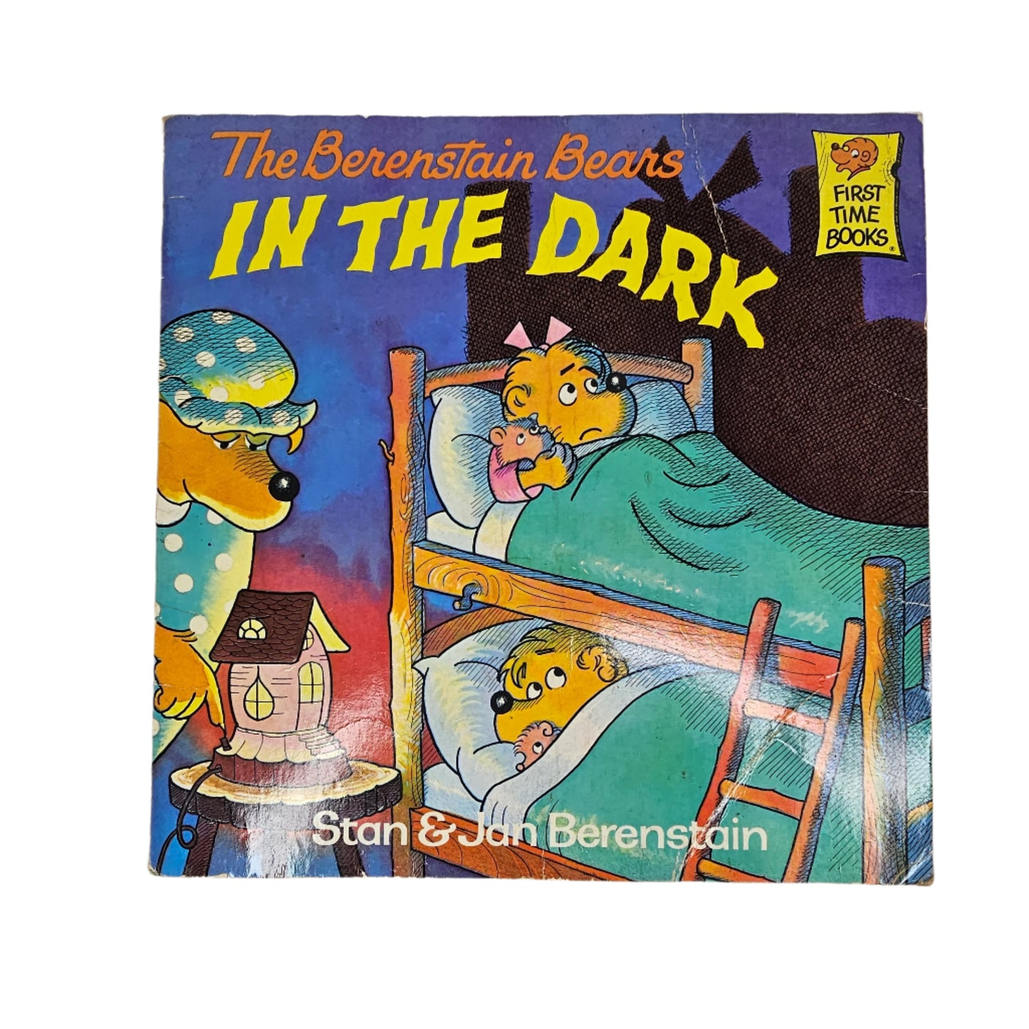 Berenstain Bears In the Dark