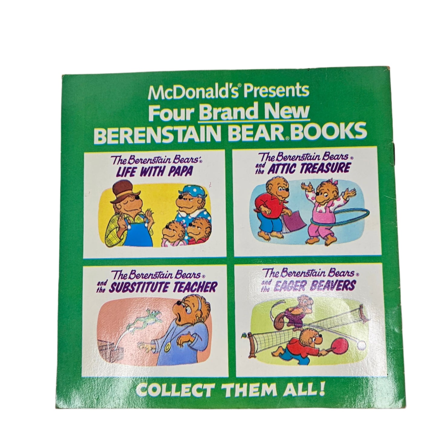 Berenstain Bears Life with Papa