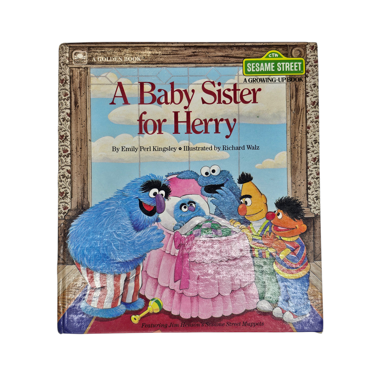 Sesame Street A Baby Sister for Herry