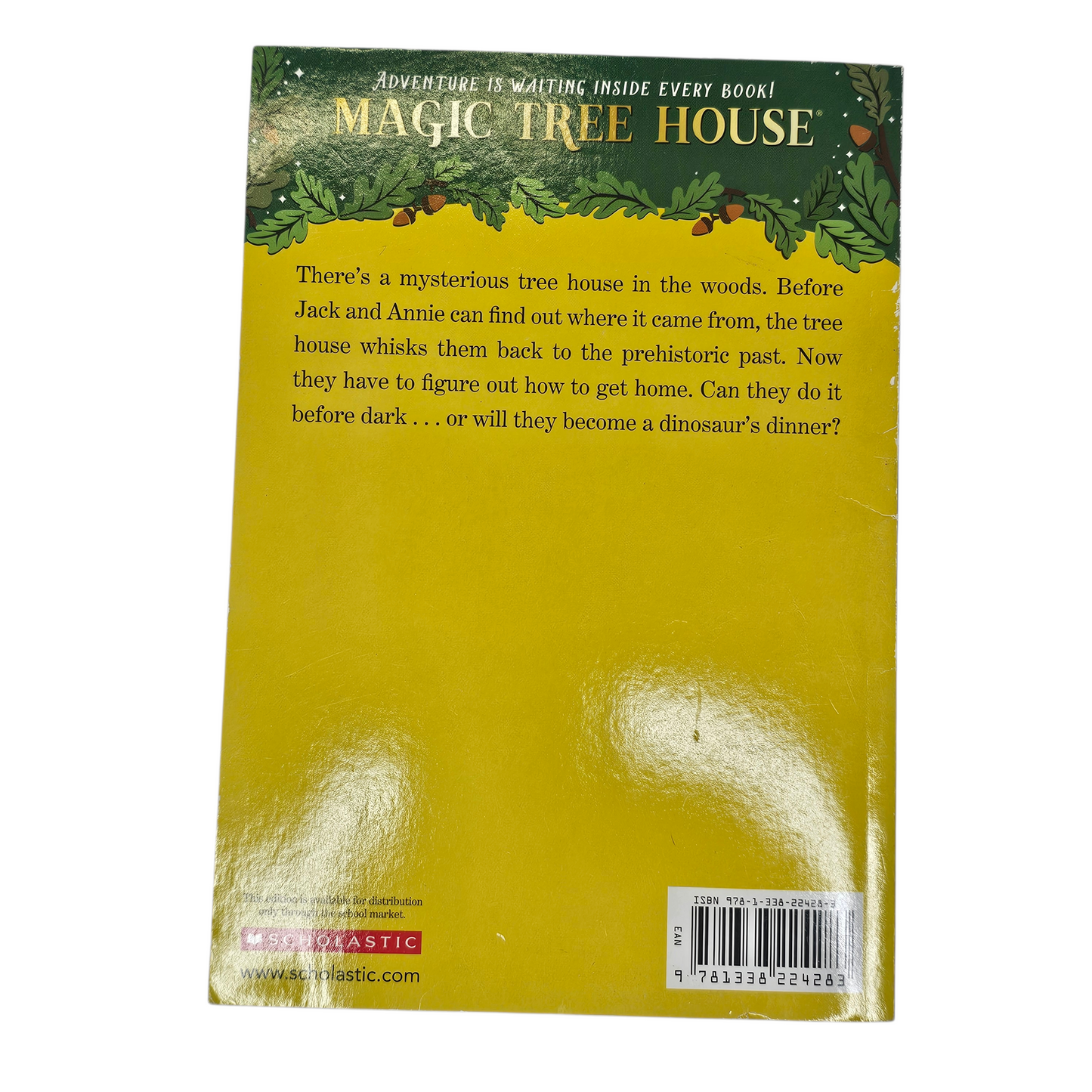 Magic Tree House Dinosaurs Before Dark