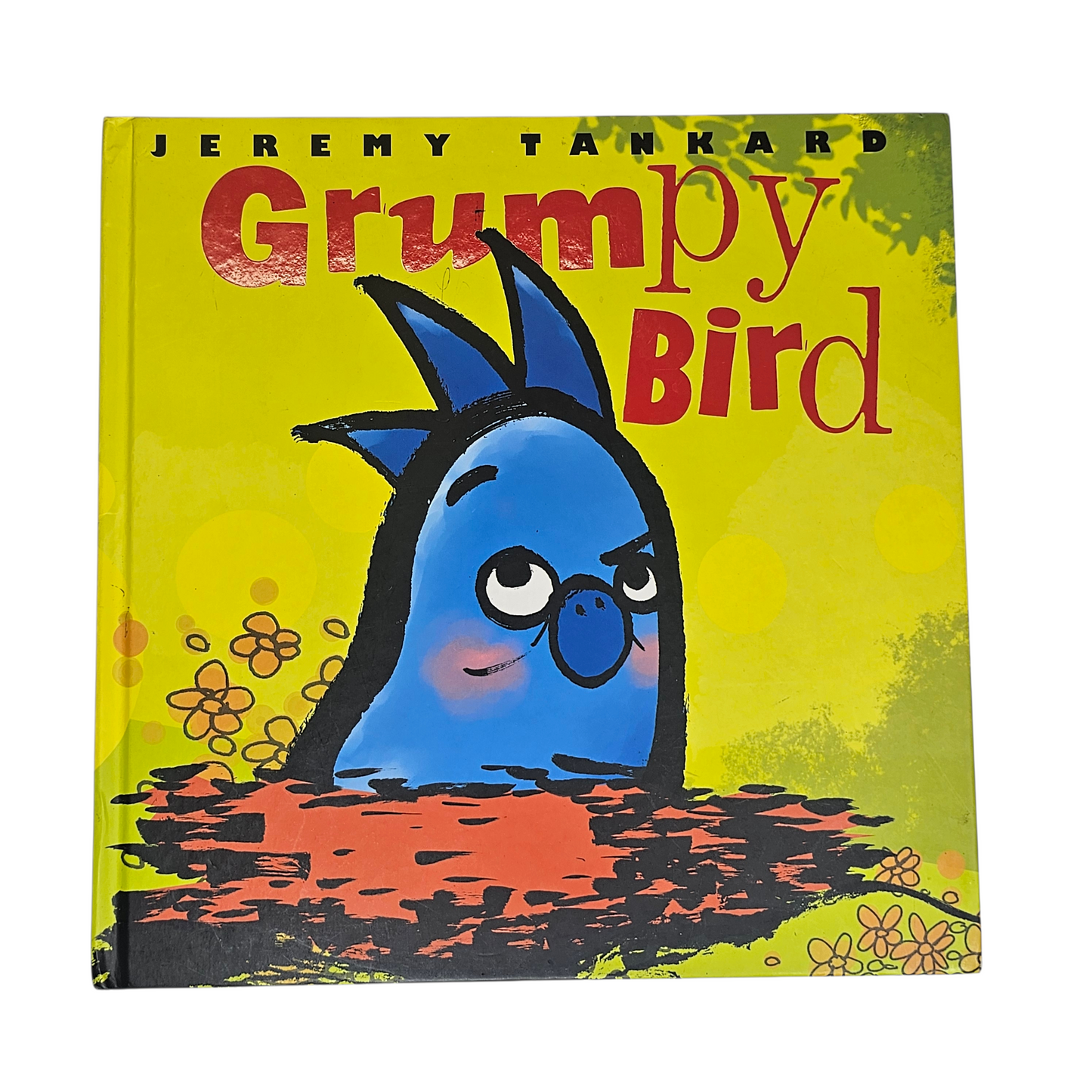 Grumpy Bird