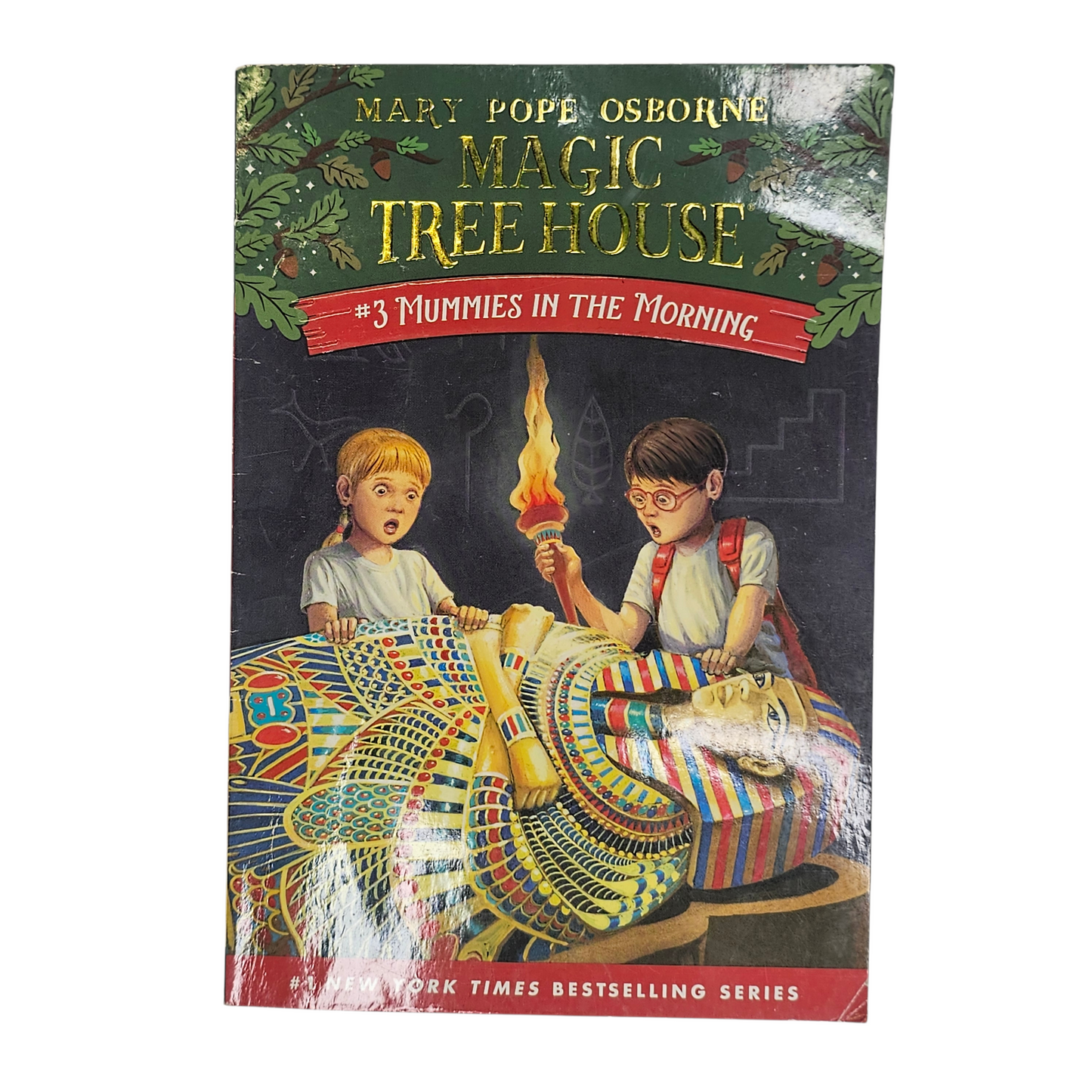 Magic Tree House Mummies in the Morning