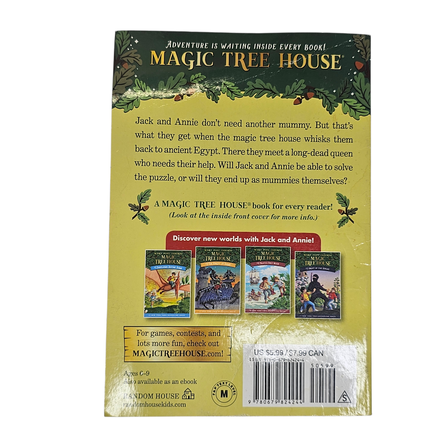 Magic Tree House Mummies in the Morning