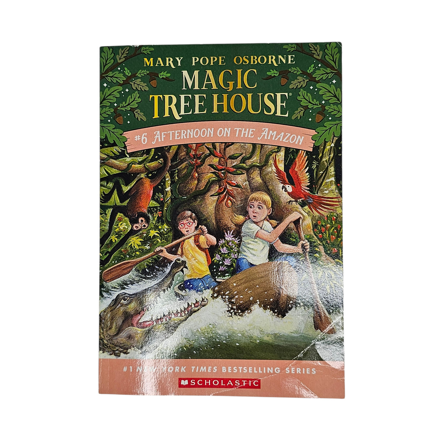 Magic Tree House Afternoon on the Amazon