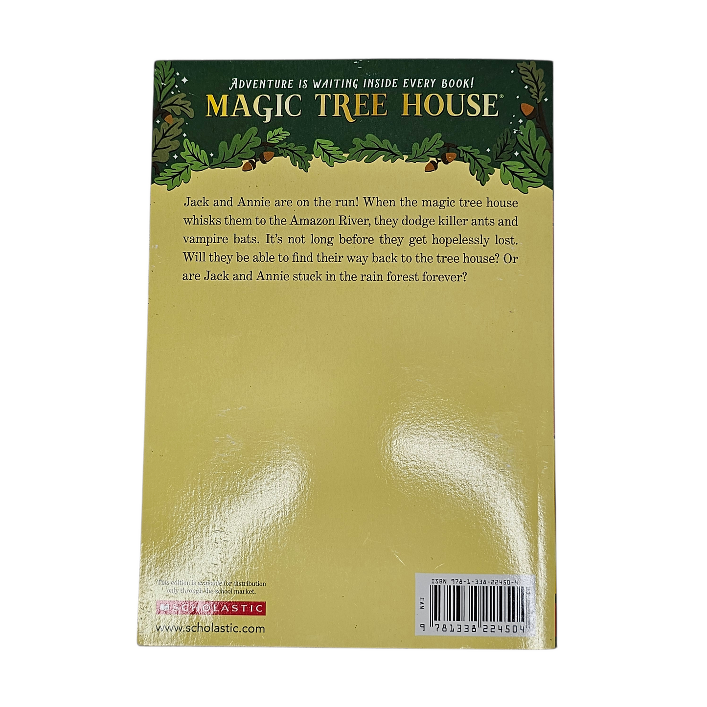 Magic Tree House Afternoon on the Amazon