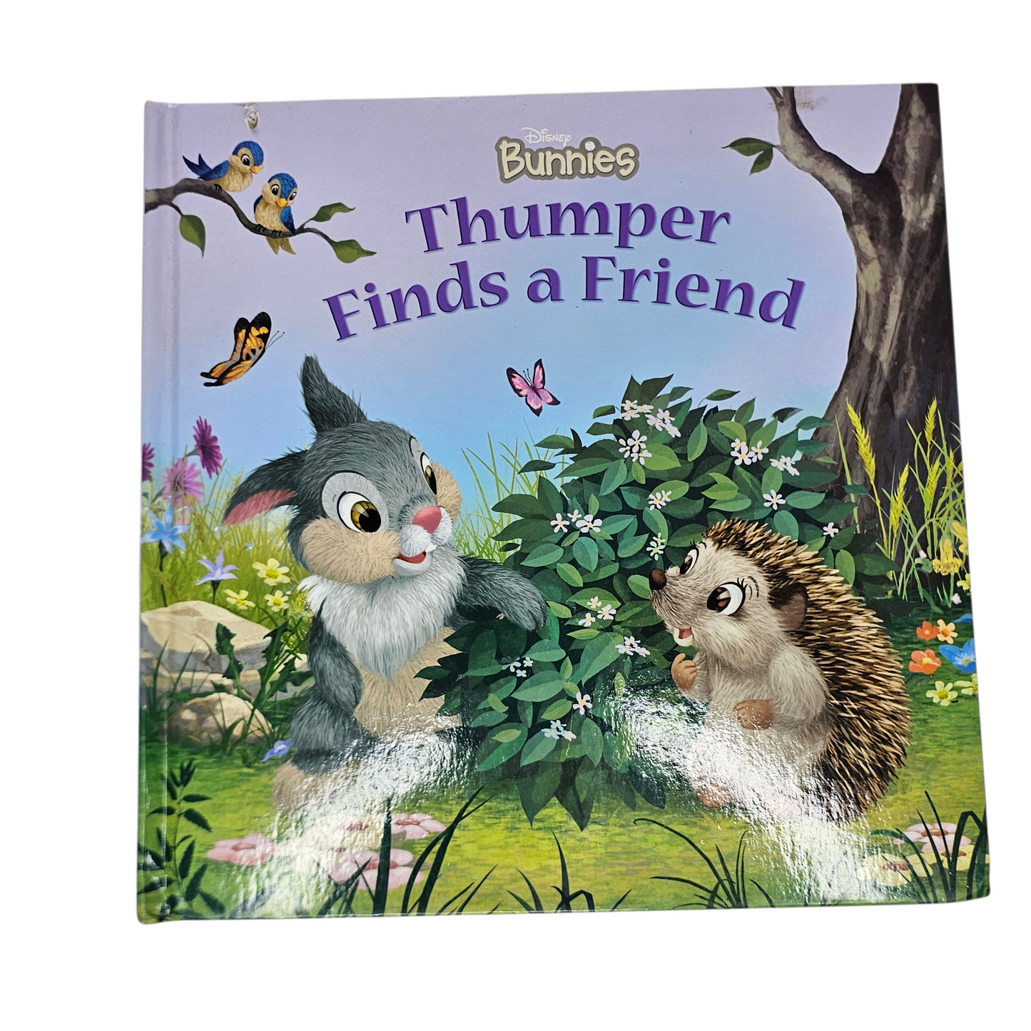 Thumper Finds a Friend