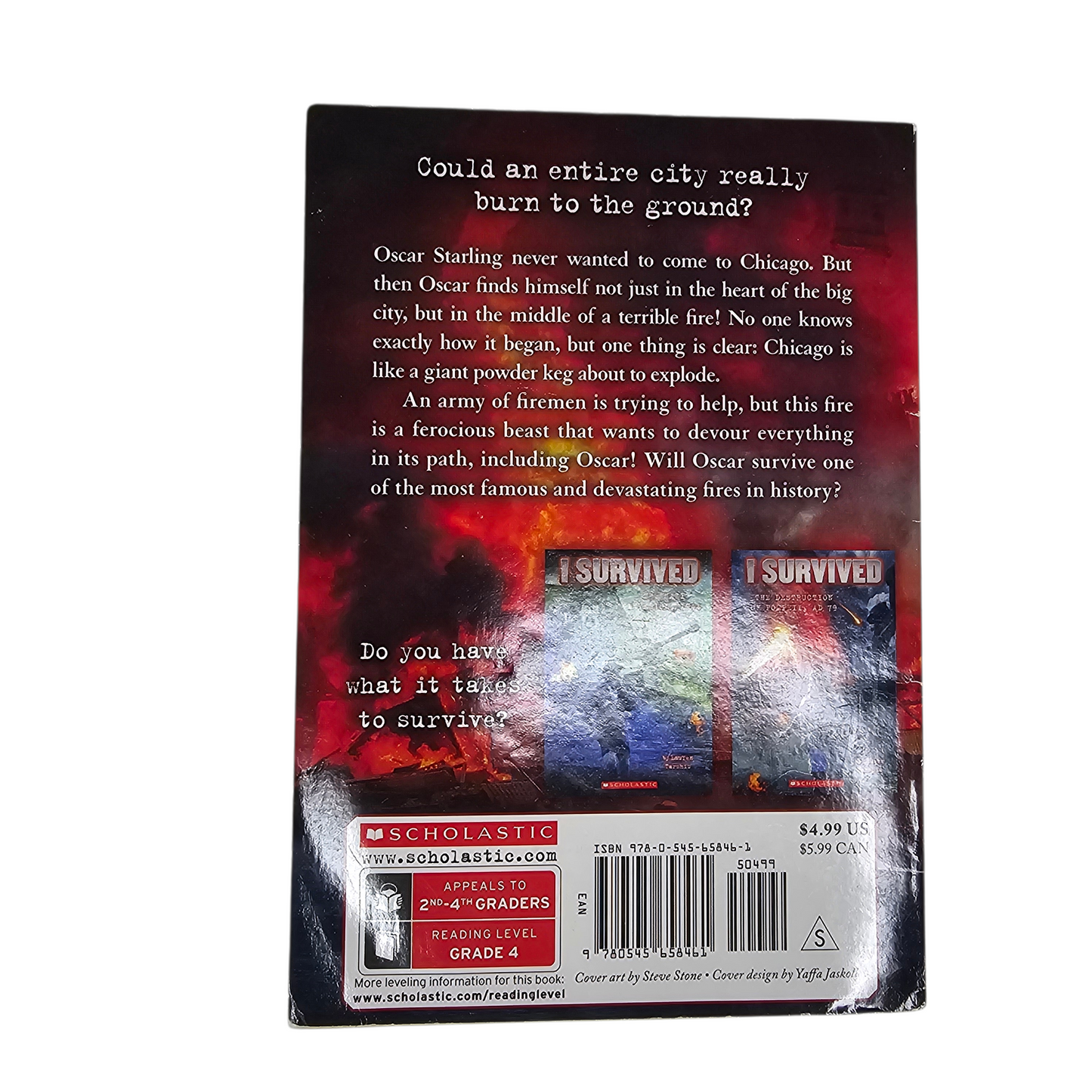 I Survived The Great Chicago Fire 1871