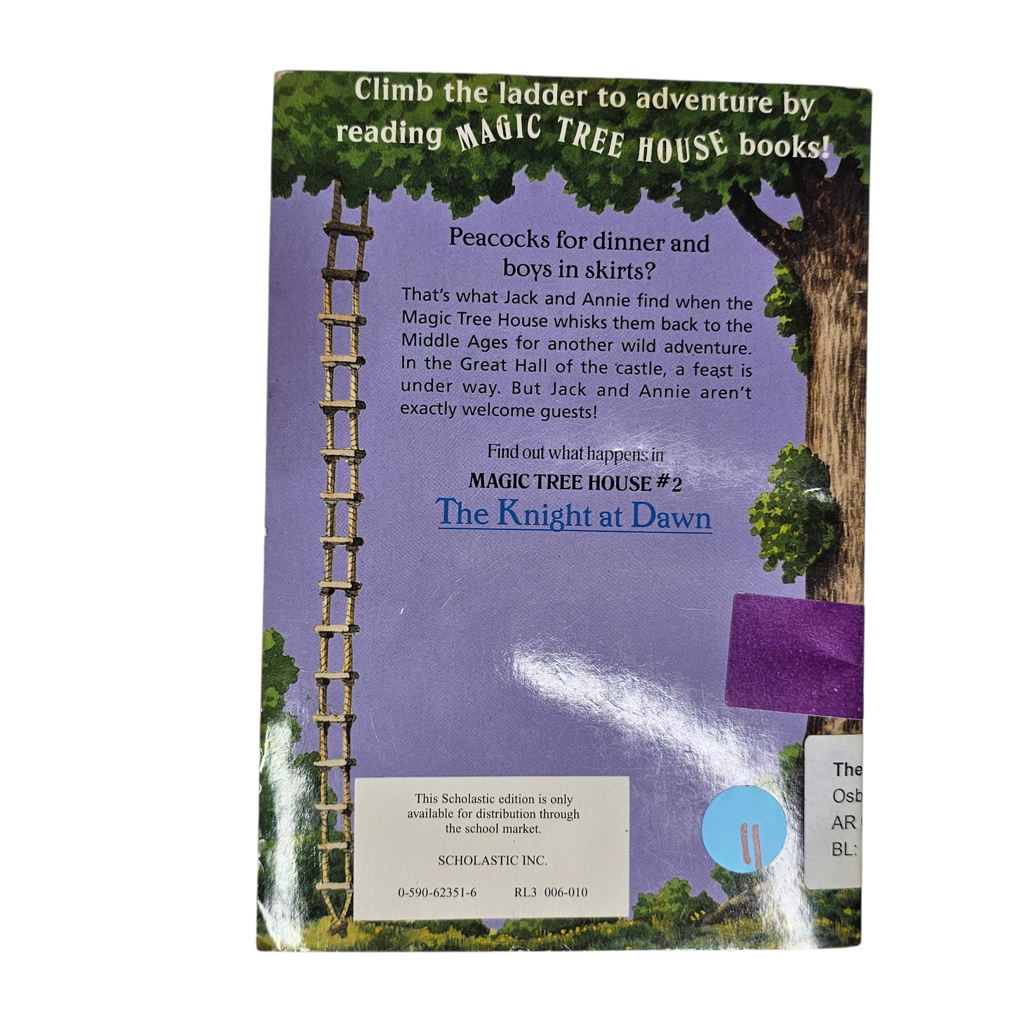 Magic Tree House The Knight at Dawn
