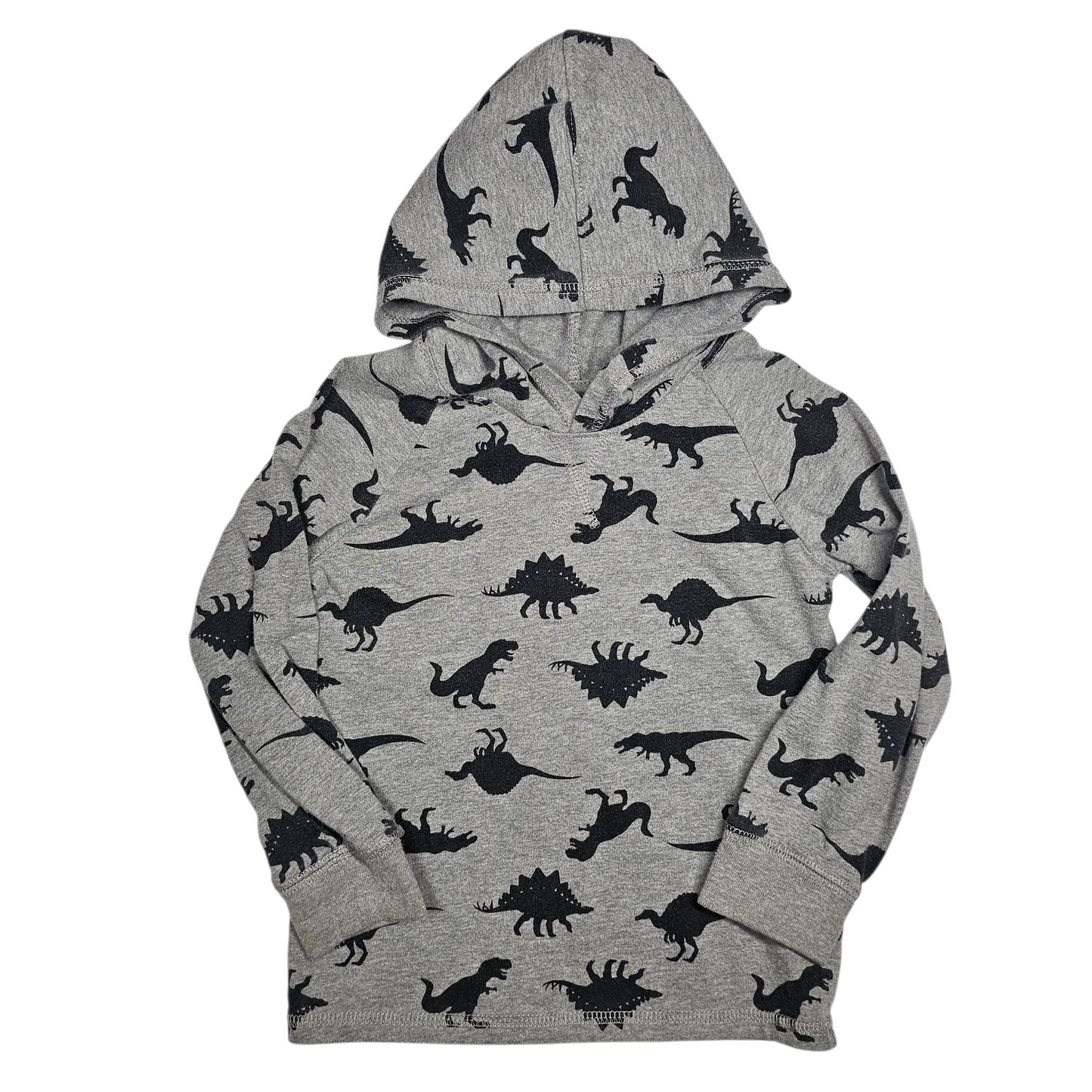 Garanimals 5T Dinosaur Hoodie