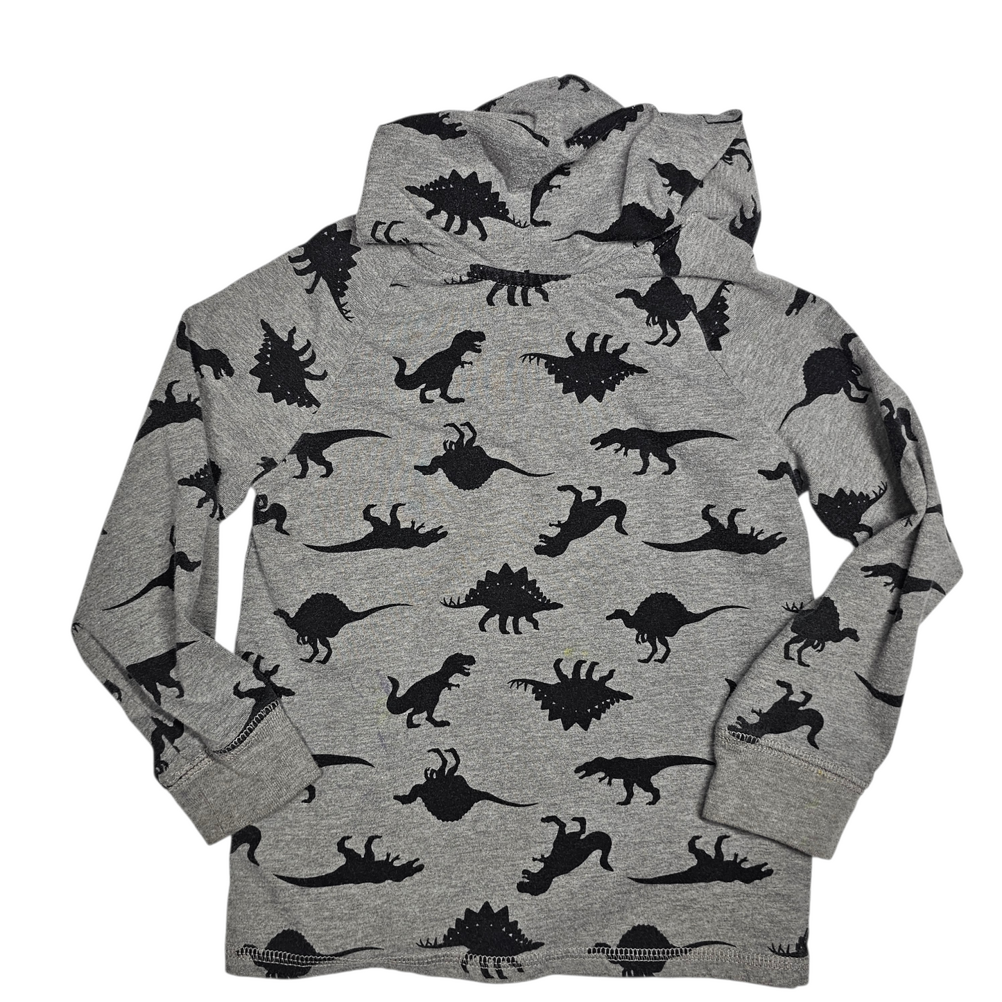 Garanimals 5T Dinosaur Hoodie