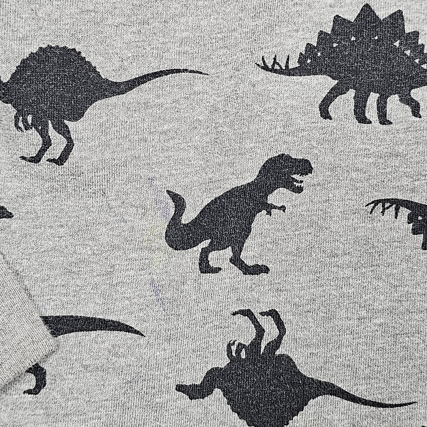 Garanimals 5T Dinosaur Hoodie