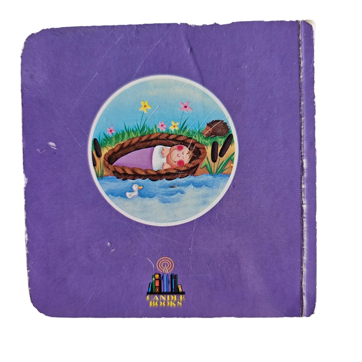 The Baby in the Basket Mini Book
