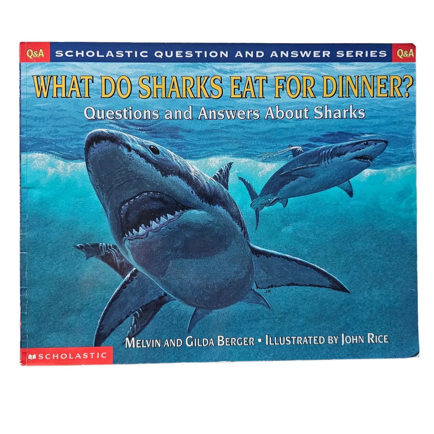 What Do Sharks Eat for Dinner?