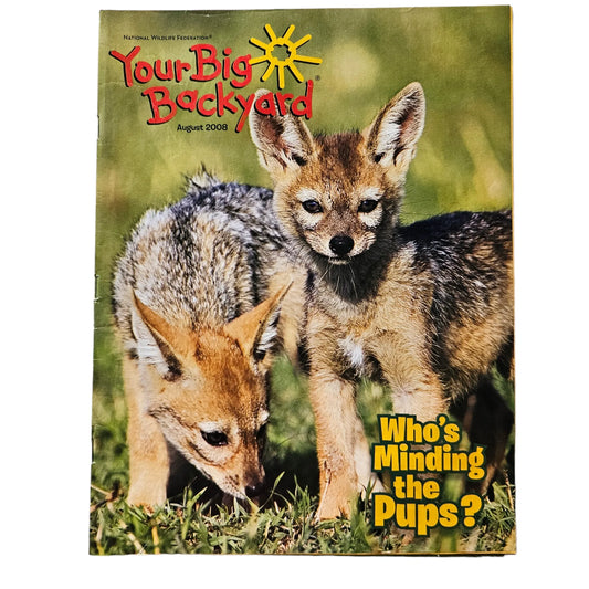 Kids Discover Your Big Backyard