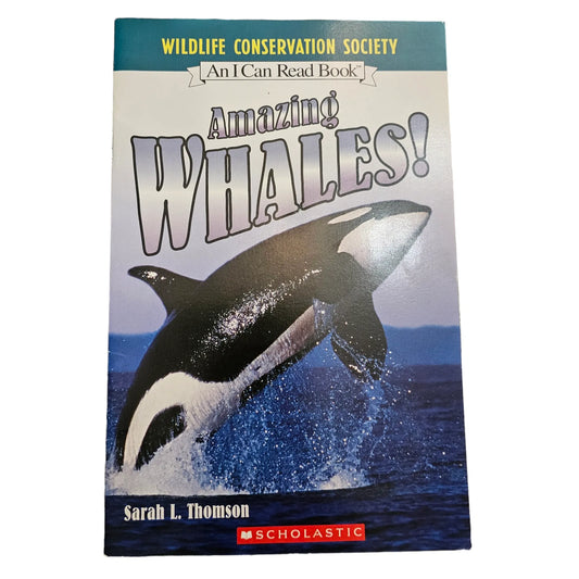 Amazing Whales!