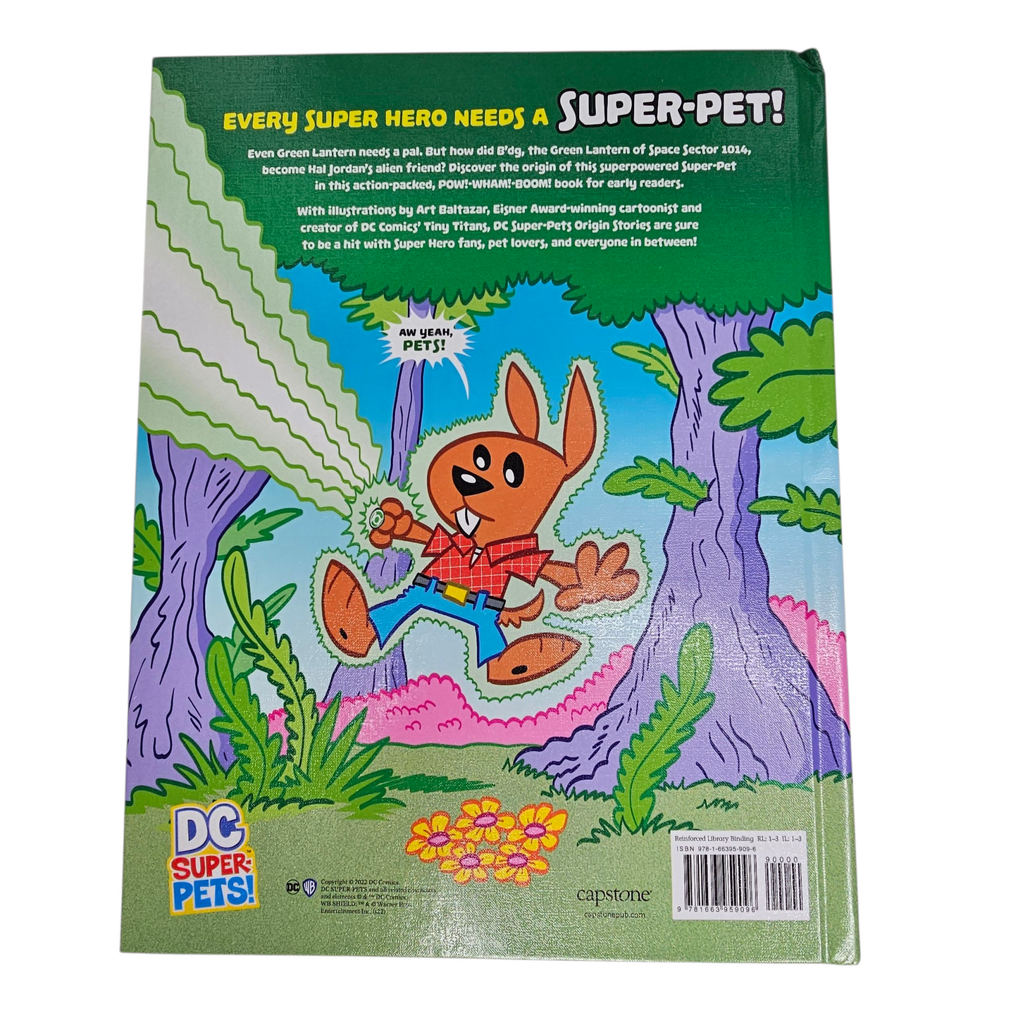 DC Super-Pets! B'DG