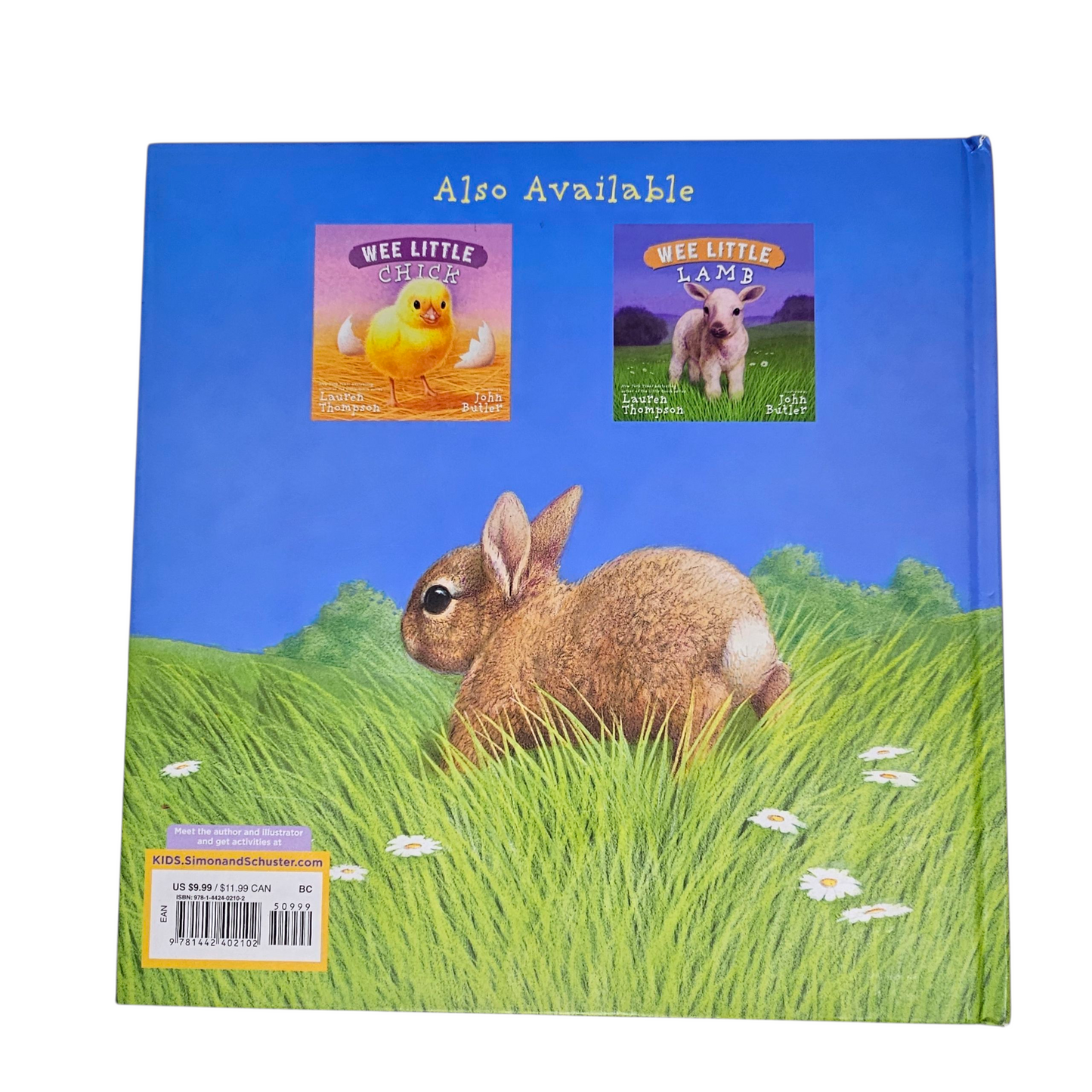 Wee Little Bunny