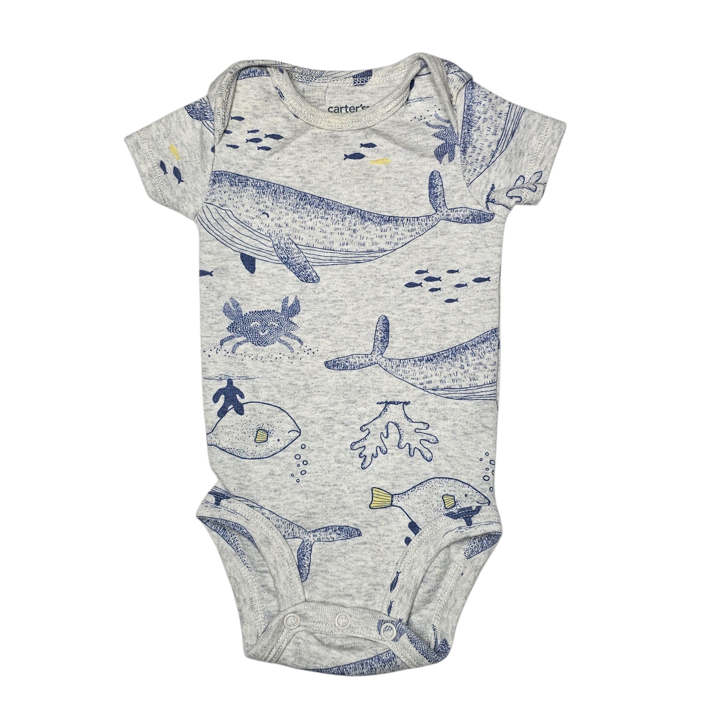 Carter's 3M Sea Creatures Bodysuit