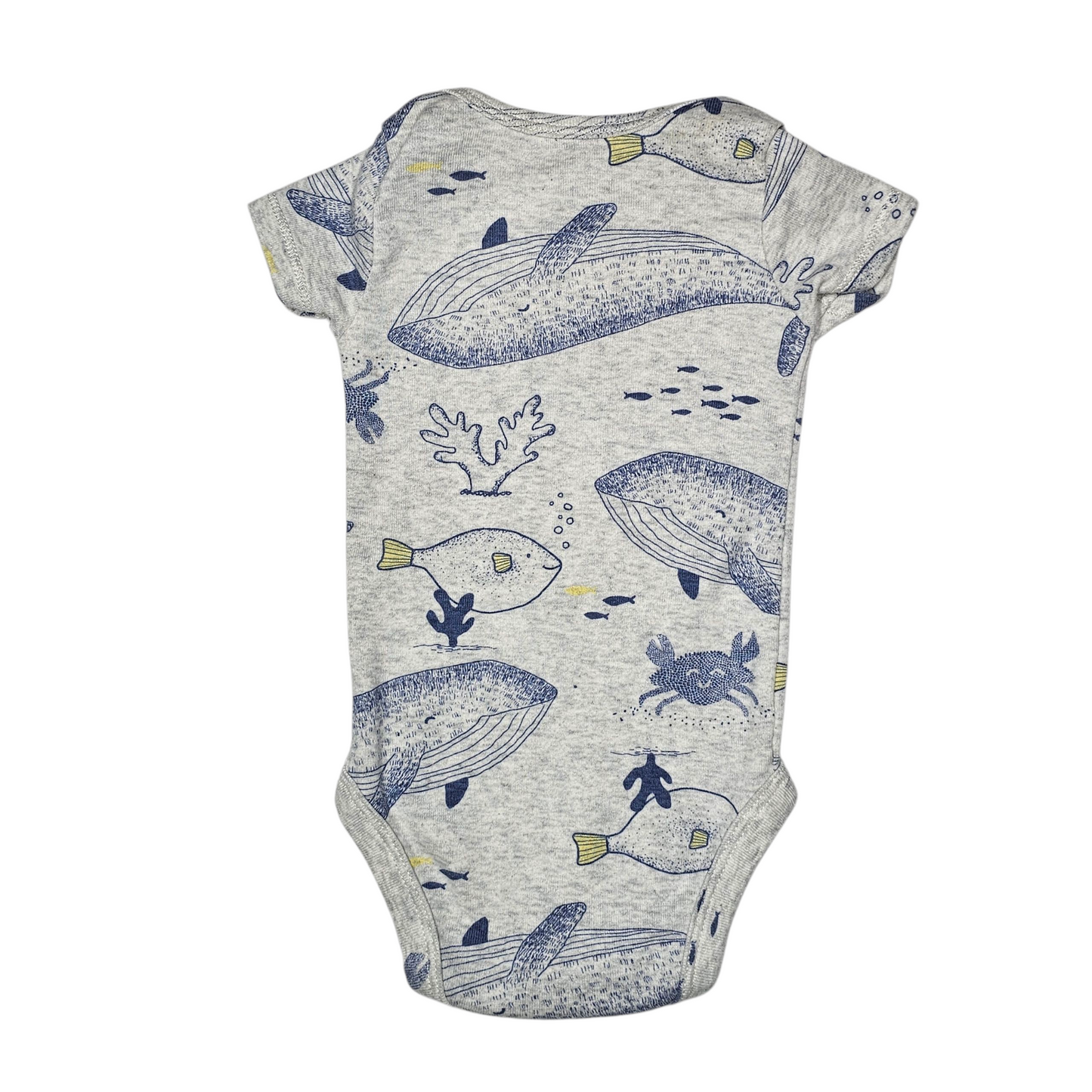 Carter's 3M Sea Creatures Bodysuit