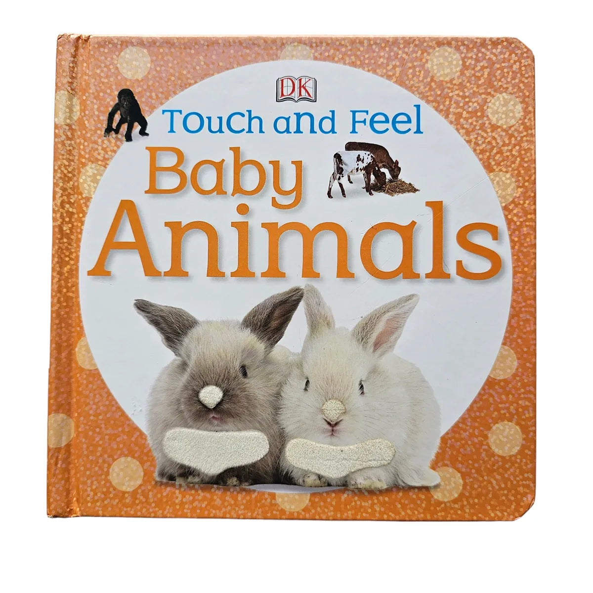 Touch and Feel Baby Animals