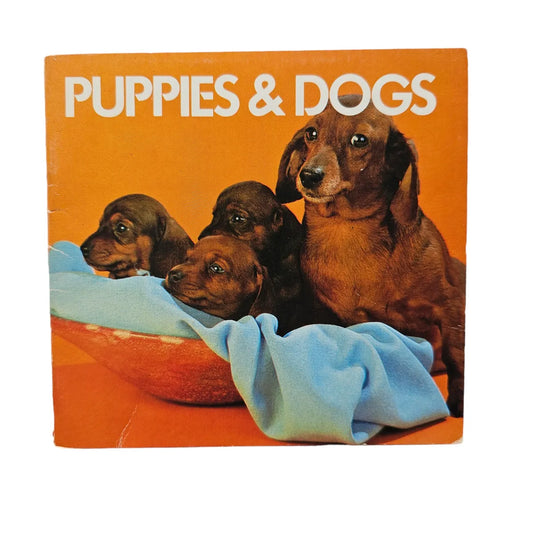 Puppies & Dogs