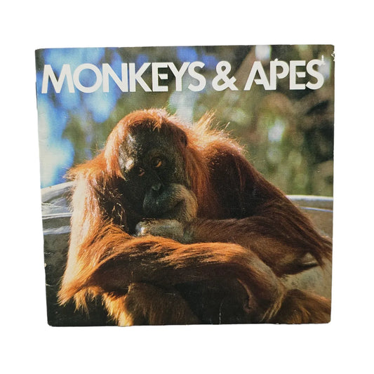 Monkeys & Apes