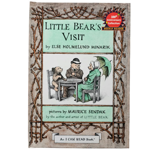 Little Bear's Visit