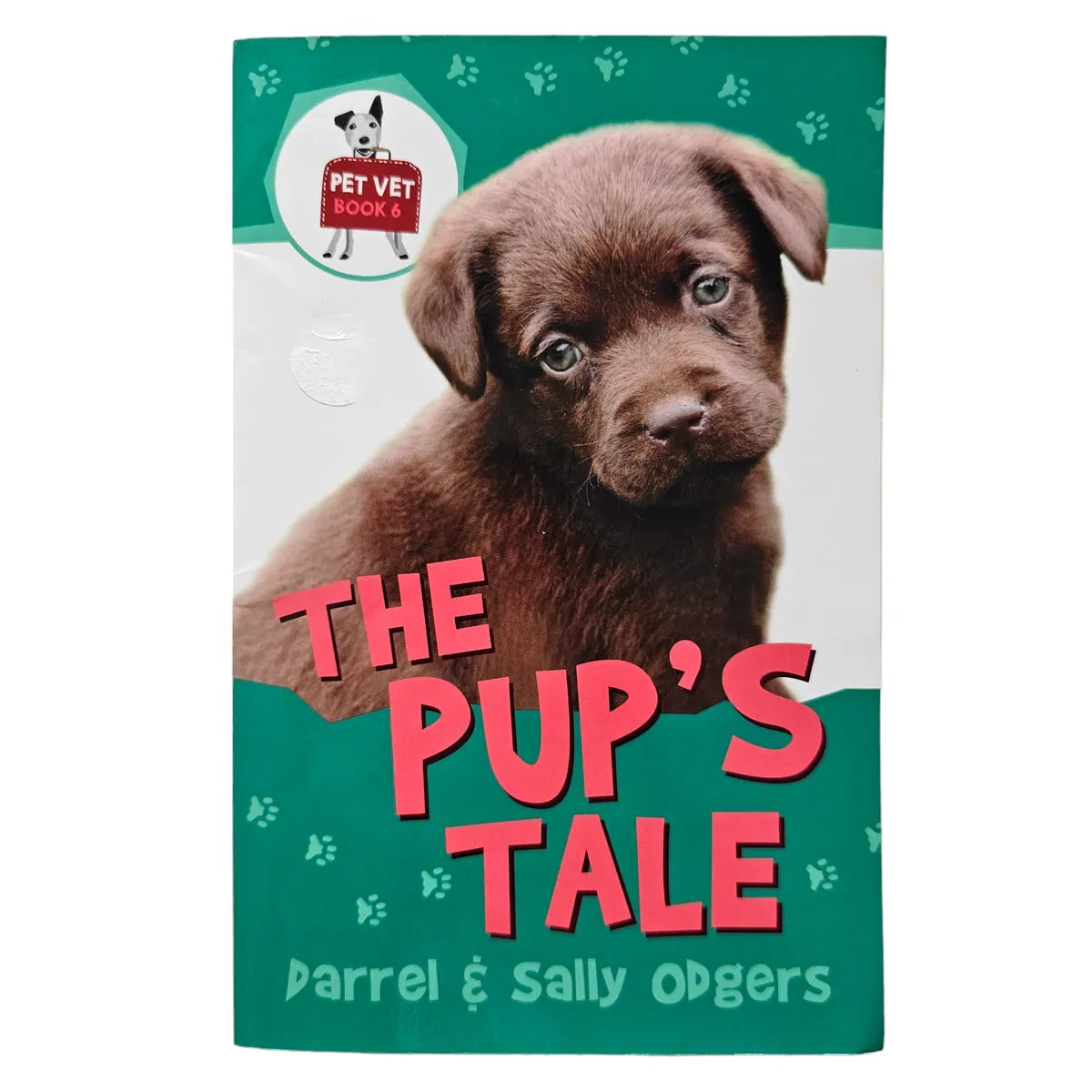 Pet Vet The Pup's Tale