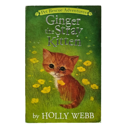 Ginger the Stray Kitten