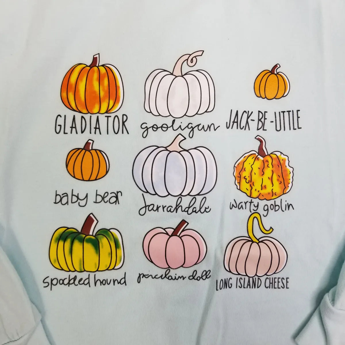 6 Light Blue Pumpkin Graphic Long Sleeve