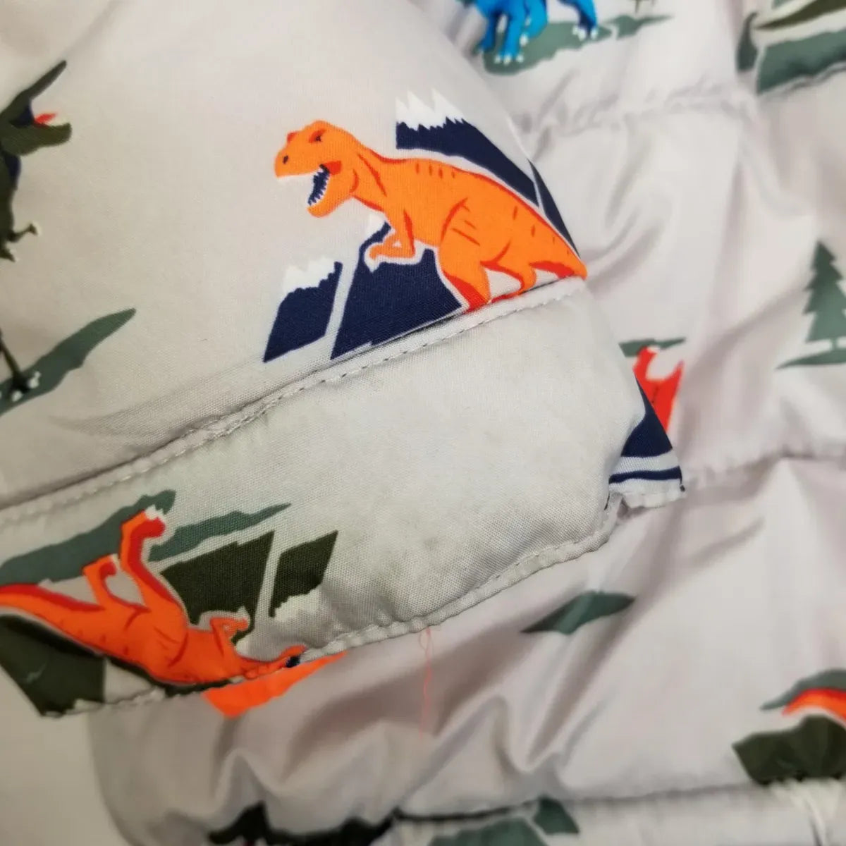 Carter's 18M Dinosaur Puffer Coat