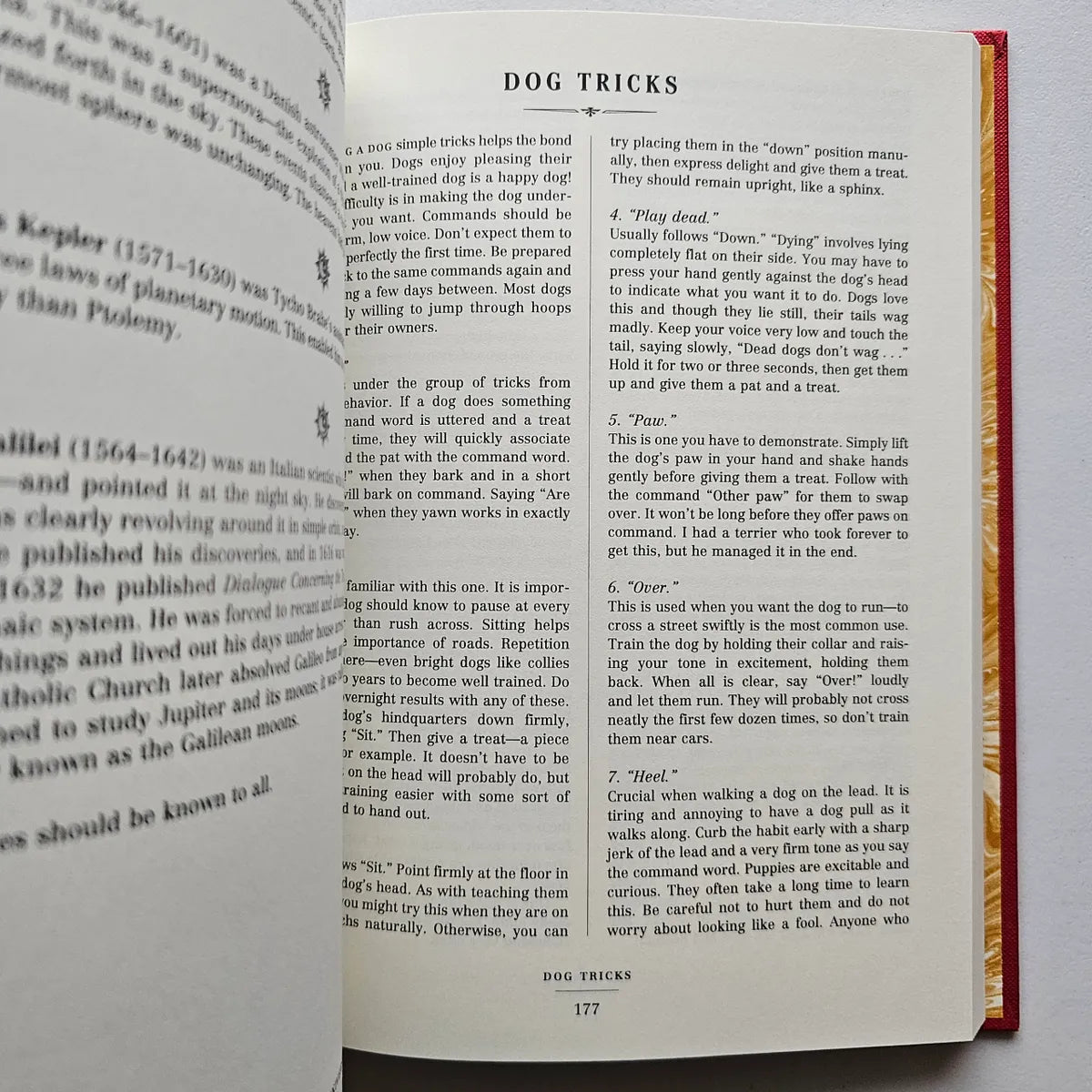 The Dangerous Book for Boys