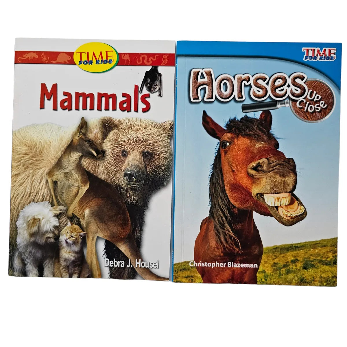 Time for Kids Lot