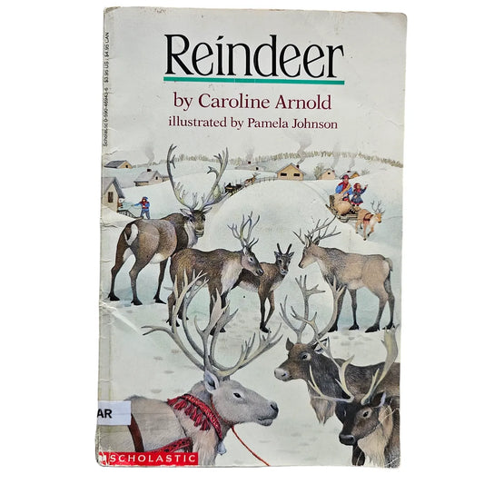 Reindeer