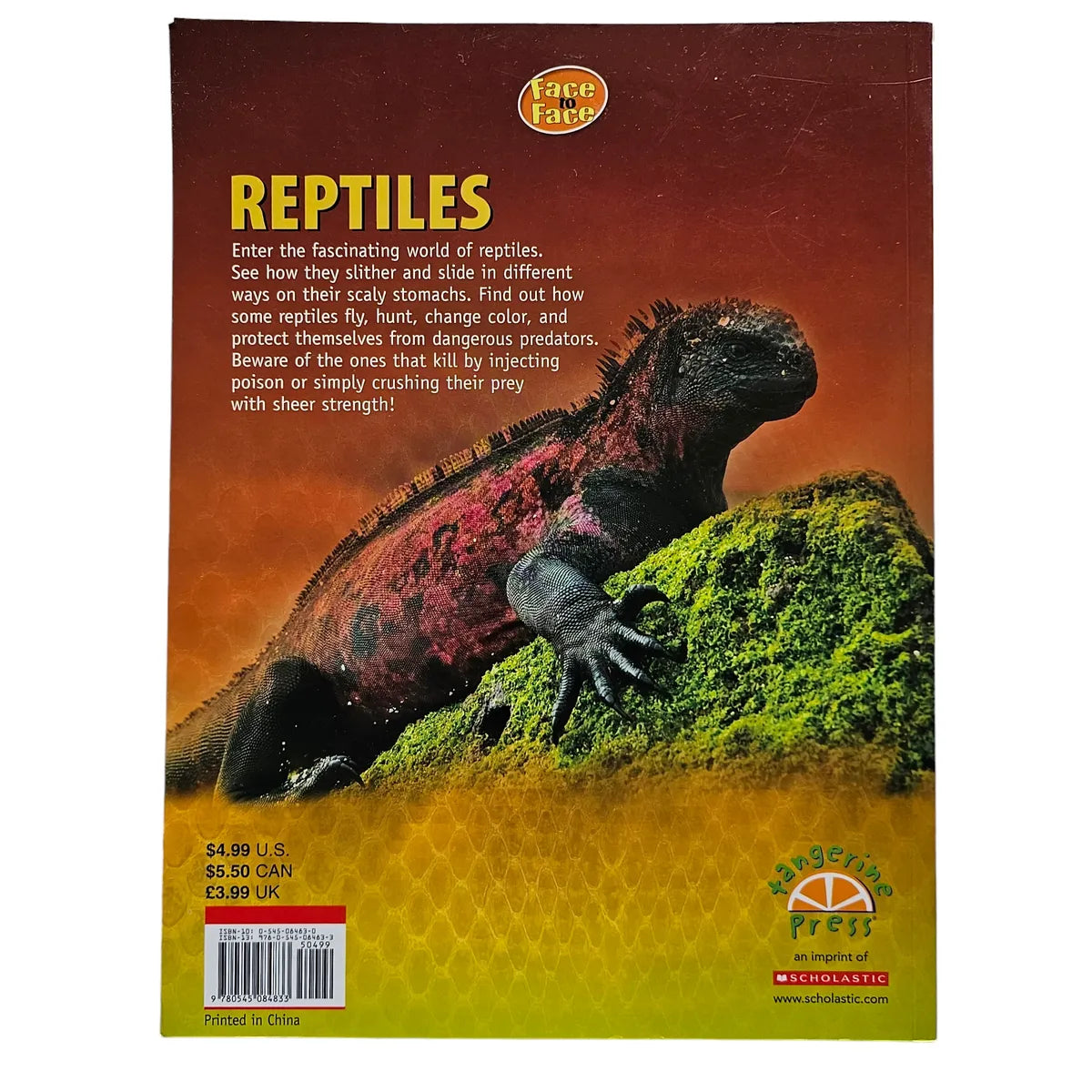 Face to Face Reptiles
