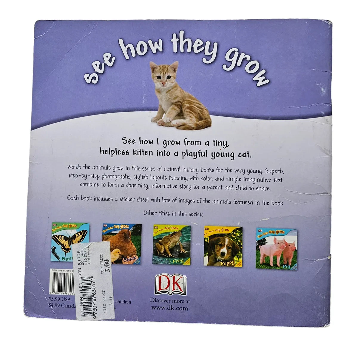 See How They Grow Kitten