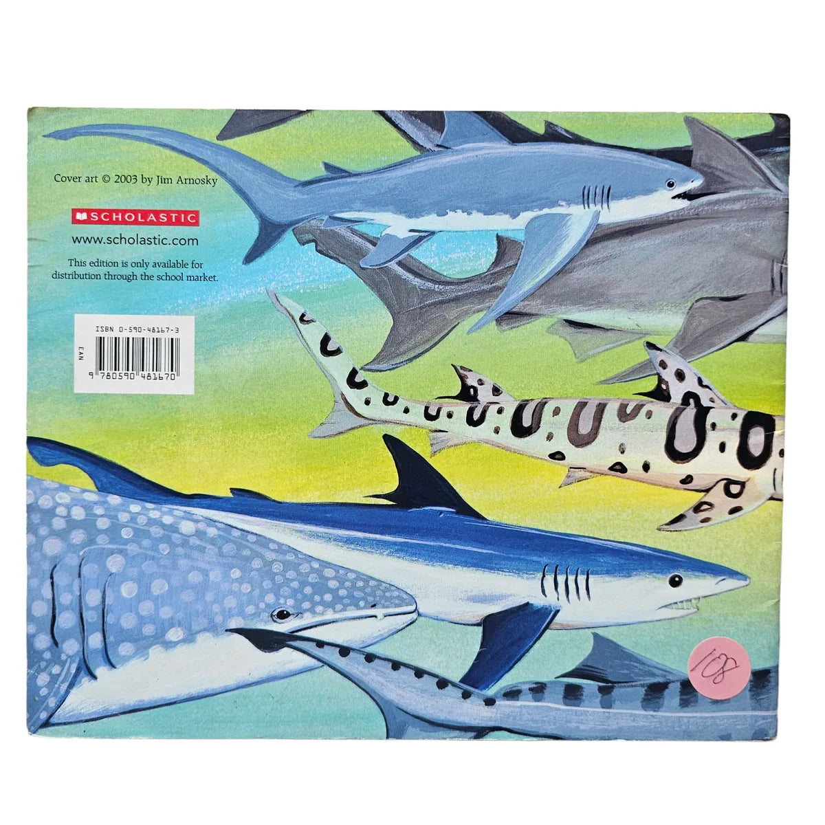 All About Sharks