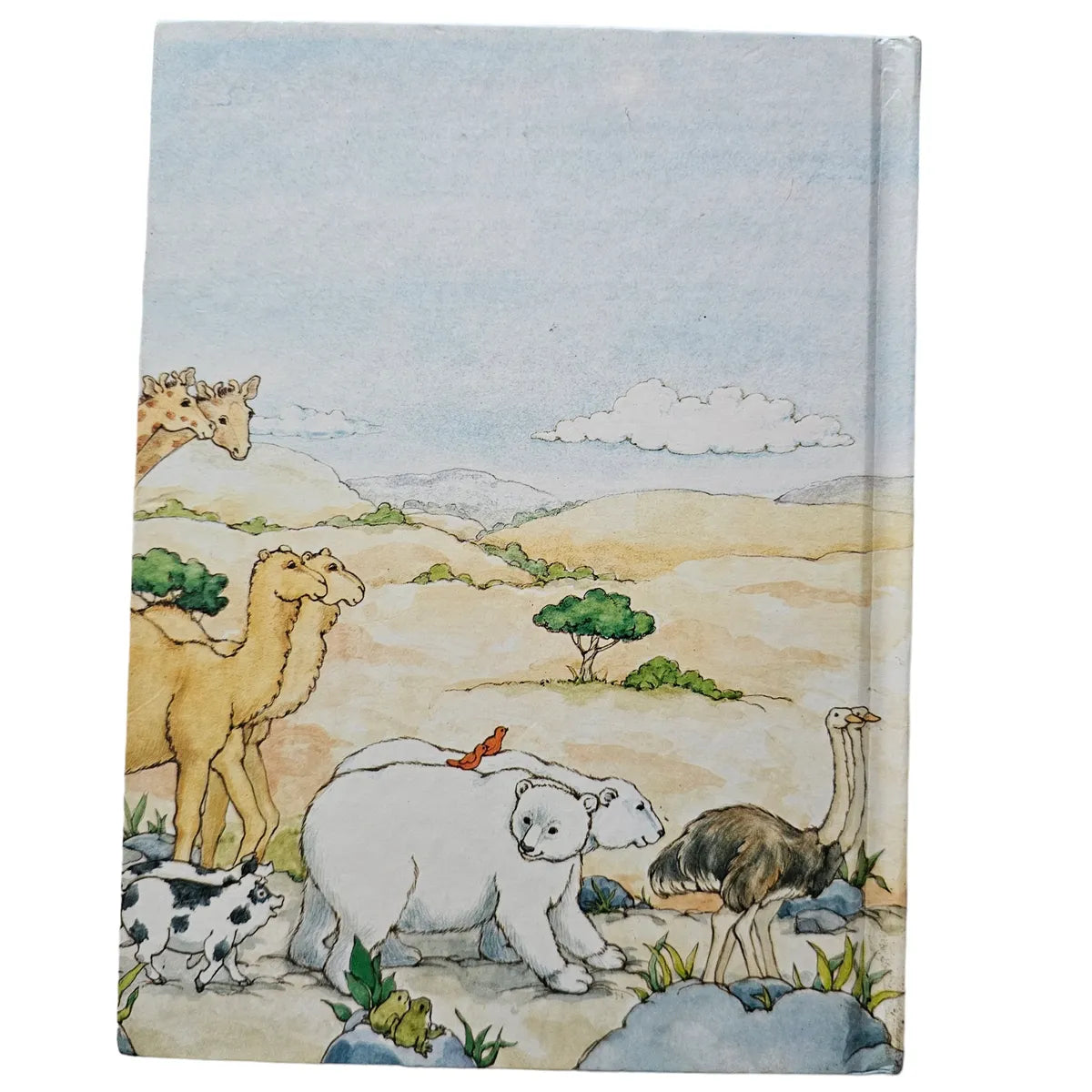 The Story of Noah